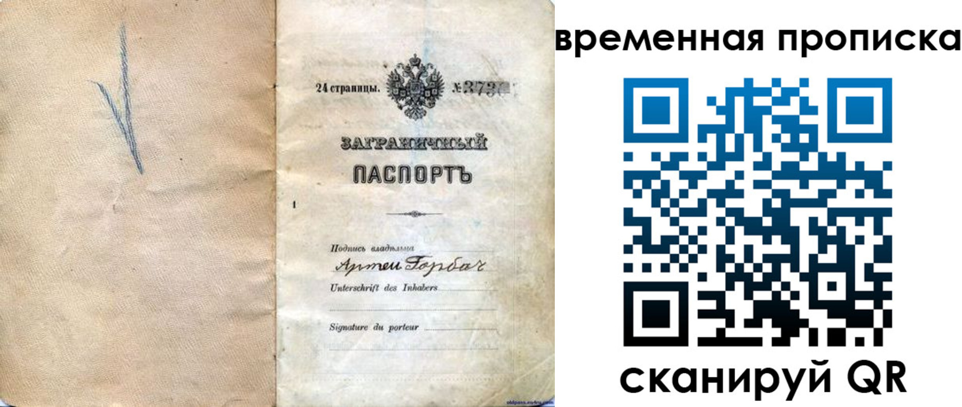 прописка поиск в Ростове